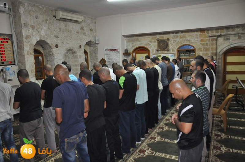 taraew7 ba7r (8).JPG